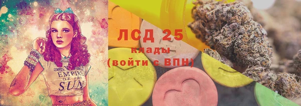 амф Богородицк