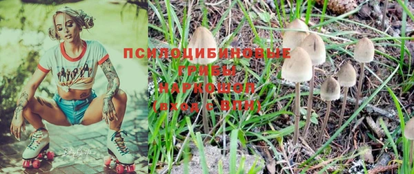 амф Богородицк