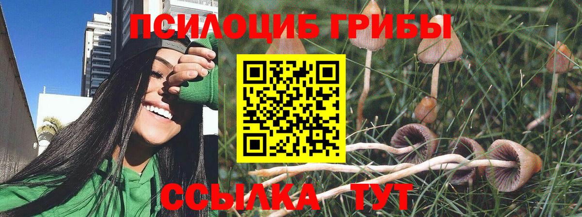 Псилоцибиновые грибы GOLDEN TEACHER Дагестанские Огни