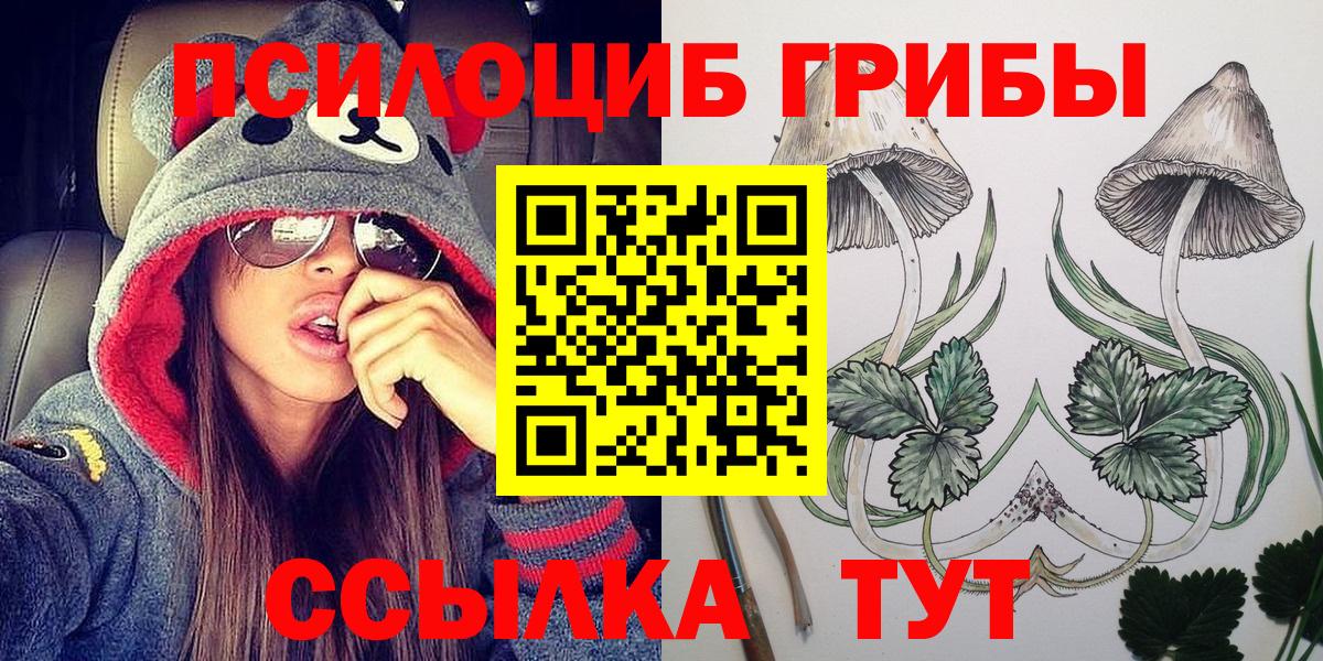 Дагестанские Огни  Галлюциногенные грибы прущие грибы  Вход с VPN 